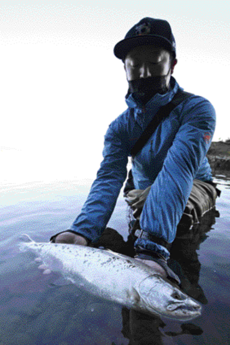 70オーバーのニジマスがドライで出る！6月1日洞爺湖解禁 大型ニジマス